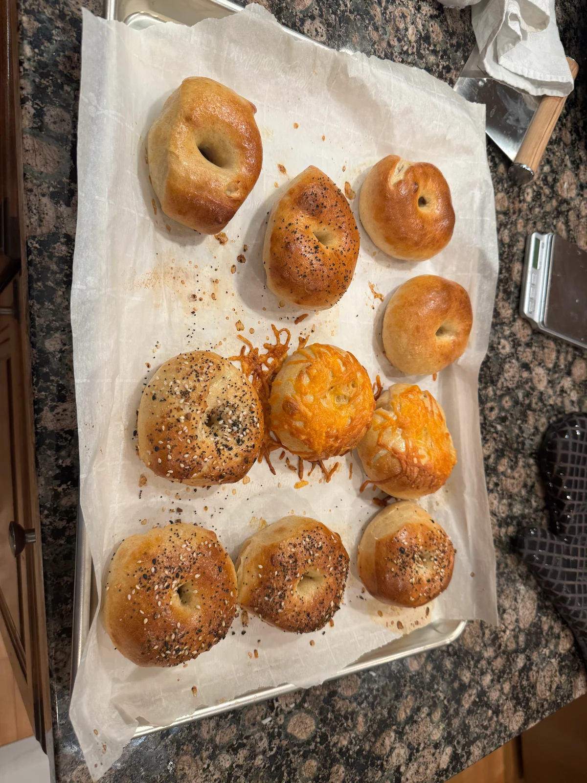 Cheese and everything bagels on a sheet pan